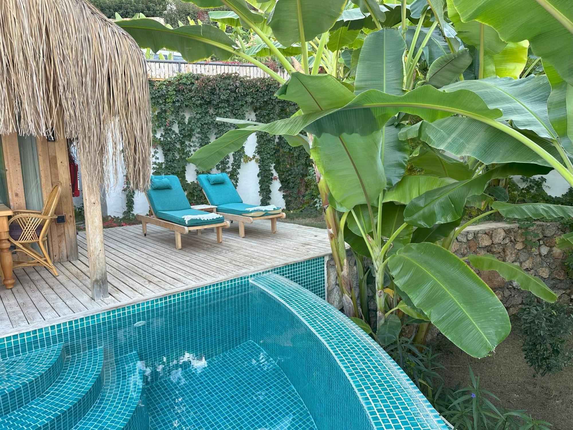Seaview Faralya Hotel Exterior photo